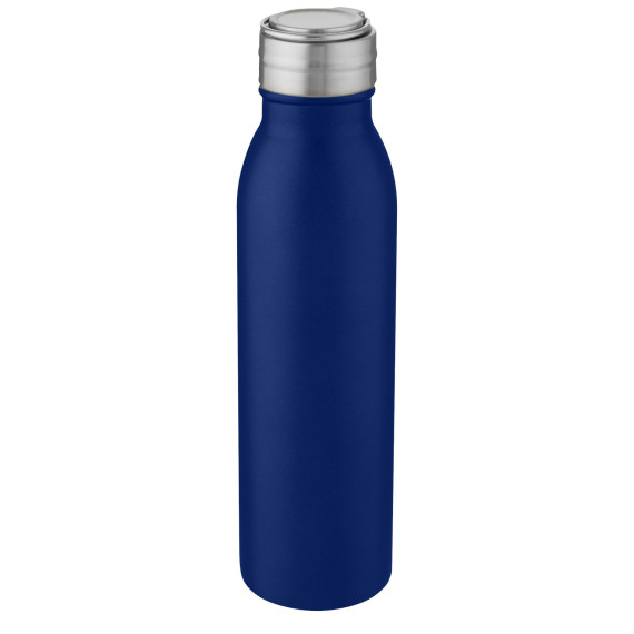 Harper 700 ml stainless steel water bottle with metal loop